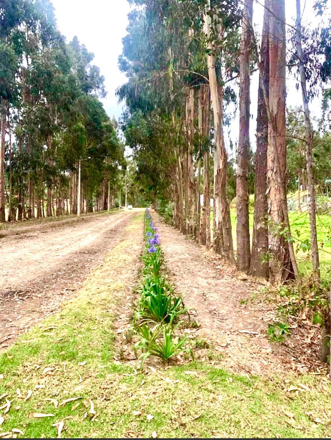 Lote de terreno 1908m2 Tabacundo dentro de Club Campestre