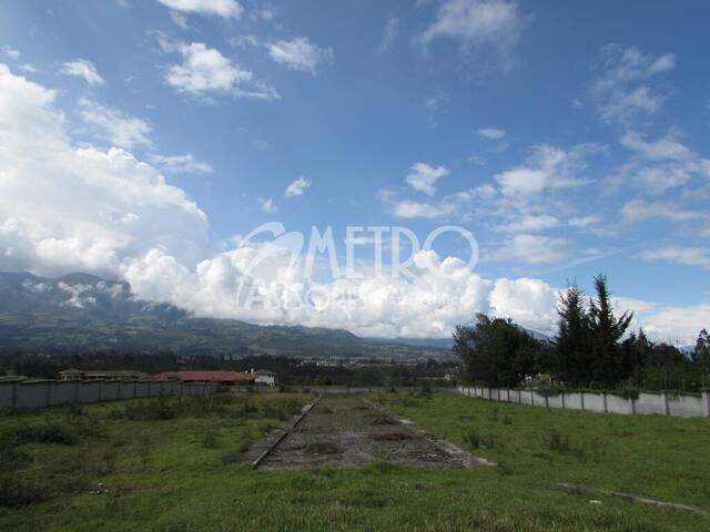 Terreno para Venta en Cotacachi - 4