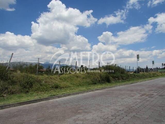 #49 - Terreno para Venta en Quito - P - 1