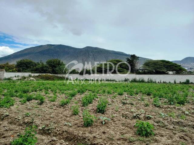 #355 - Terreno para Venta en Quito - P - 1
