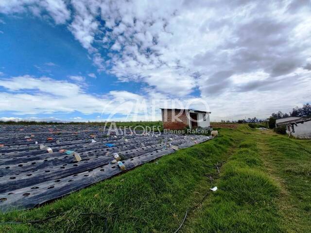 #367 - Terreno para Venta en Quito - P - 2