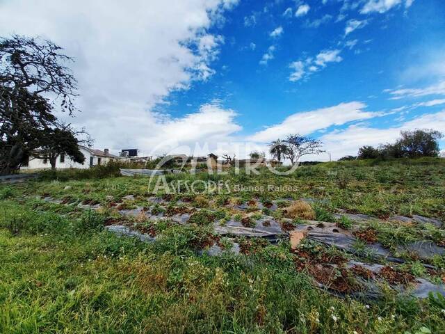 #367 - Terreno para Venta en Quito - P