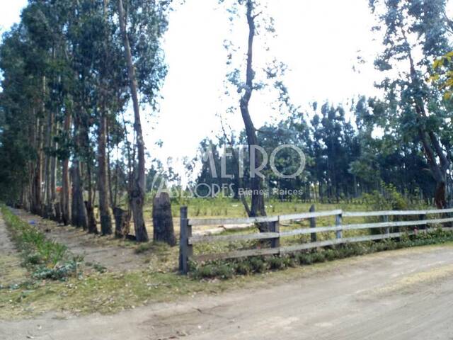 Terreno para Venta en Quito - 3