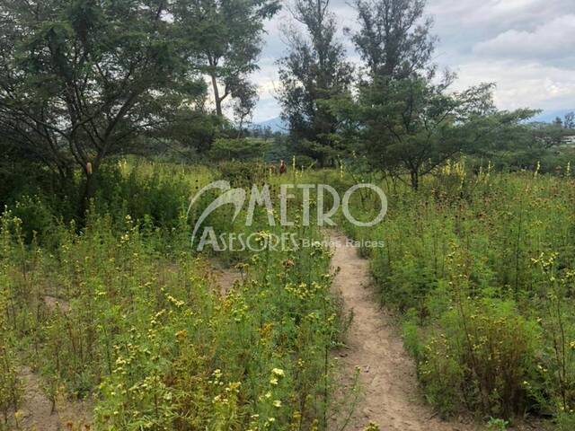 Terreno para Venta en Quito - 5