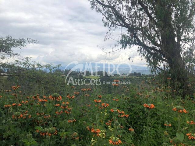 #380 - Terreno para Venta en Quito - P - 3