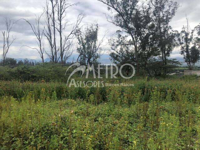 #380 - Terreno para Venta en Quito - P - 1
