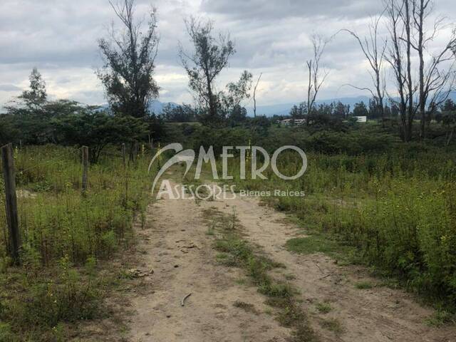 #381 - Terreno para Venta en Quito - P - 2