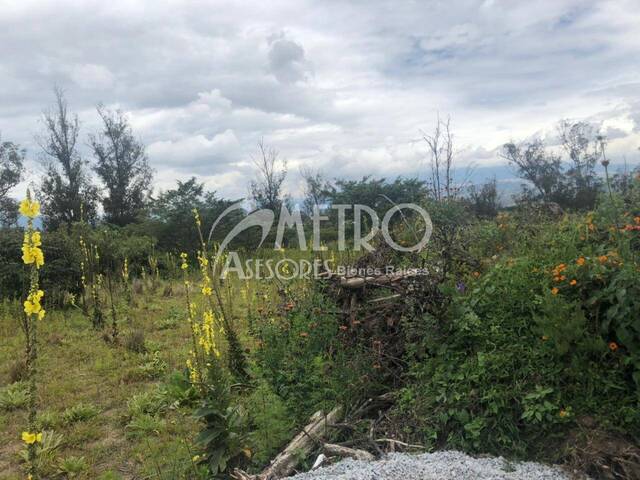 #401 - Terreno para Venta en Quito - P - 2