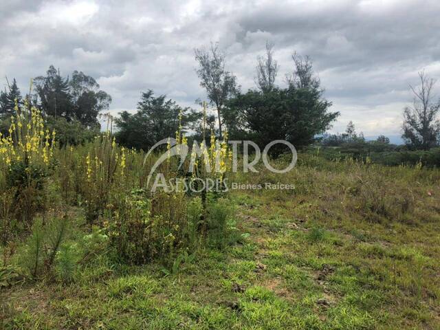 #401 - Terreno para Venta en Quito - P - 3