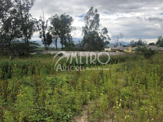 Terreno para Venta en Quito - 4