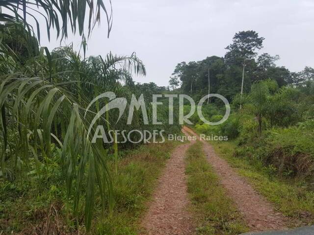 #470 - Terreno para Venta en San Miguel De Los Bancos - P - 3