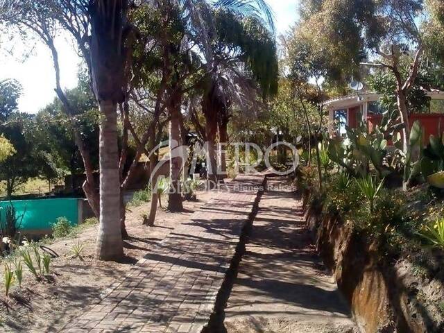 #558 - Terreno para Venta en Cayambe - P - 3