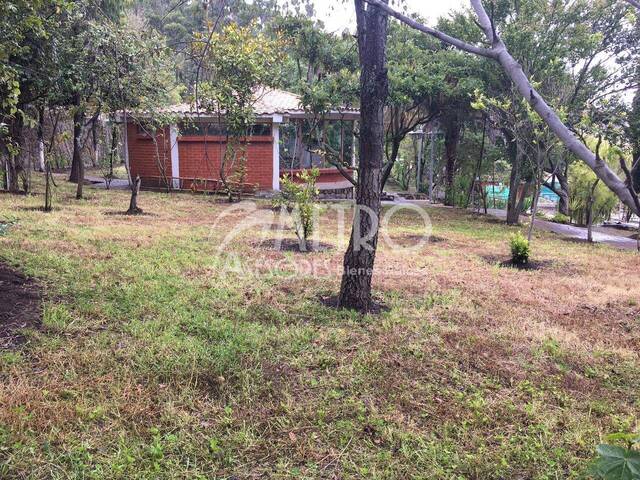 Terreno para Venta en Cayambe - 5
