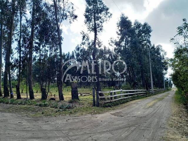 #575 - Terreno para Venta en Quito - P