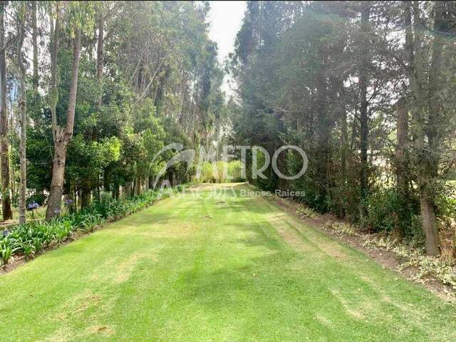 #575 - Terreno para Venta en Quito - P