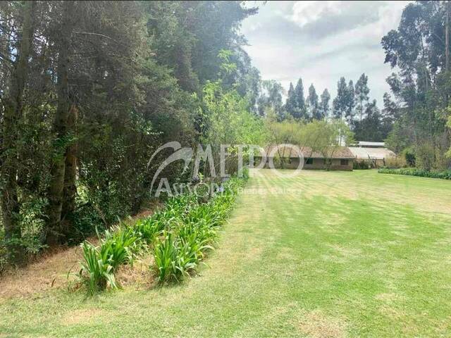 #575 - Terreno para Venta en Quito - P