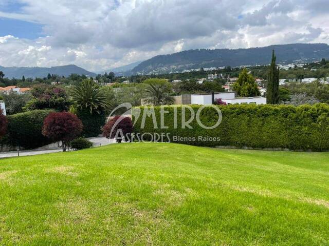 Venta en Cumbayá - Quito