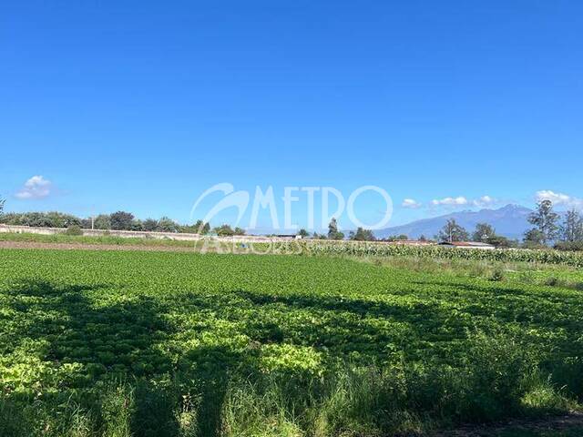 #672 - Terreno para Venta en Quito - P - 3