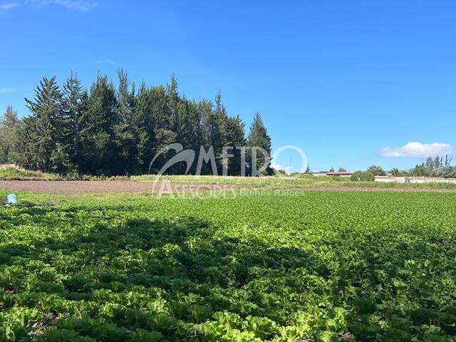 Venta en Puembo - Quito