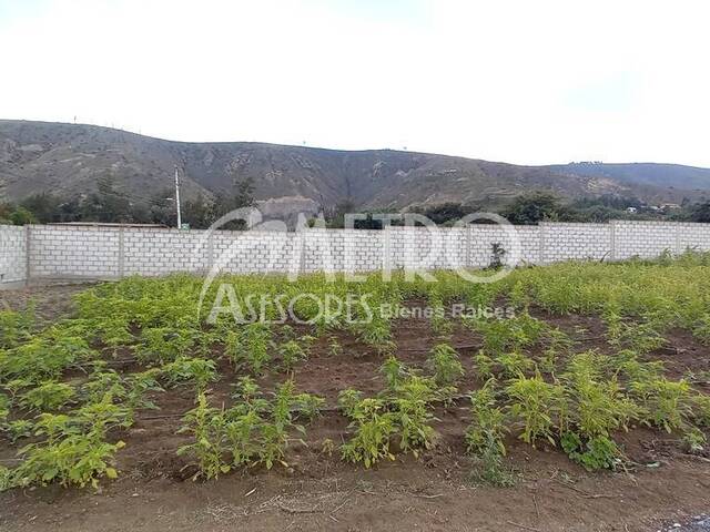 #743 - Terreno para Venta en Quito - P - 3