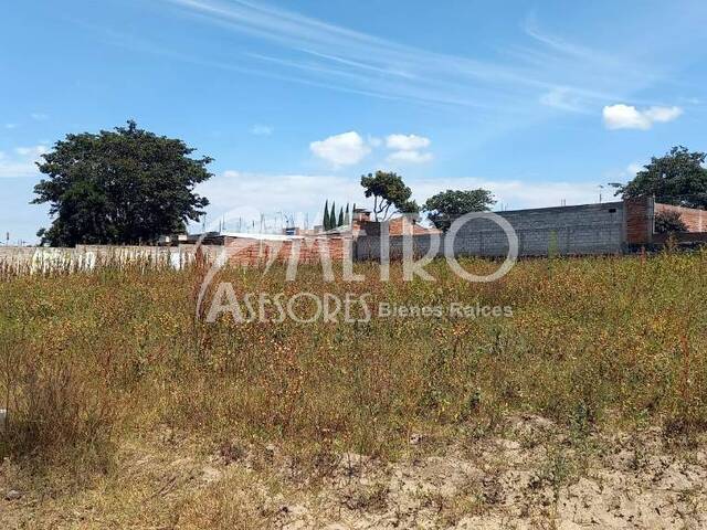 #747 - Terreno para Venta en Quito - P - 3