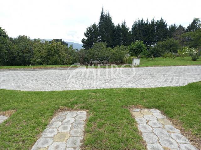 #779 - Terreno para Venta en Quito - P - 3