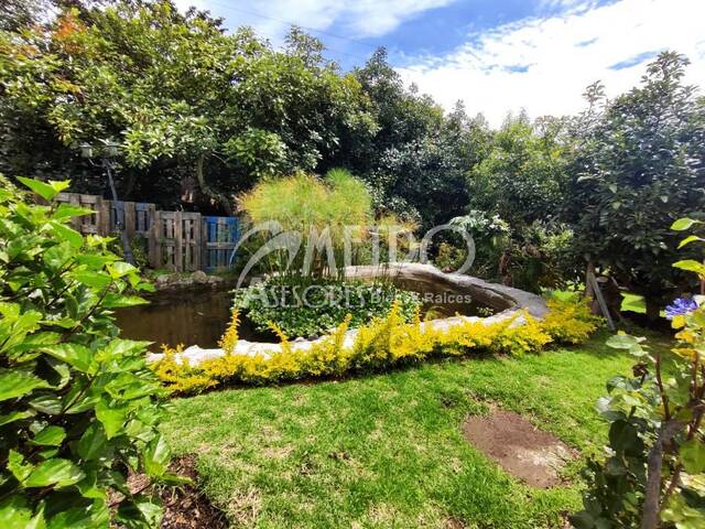 #814 - Quinta para Venta en Quito - P - 3