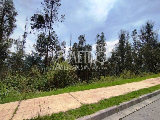 #964 - Terreno para Venta en Quito - P - 2