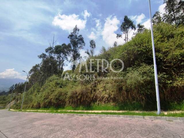 #968 - Terreno para Venta en Quito - P