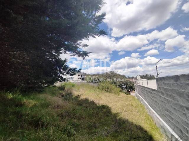 #979 - Terreno para Venta en Quito - P