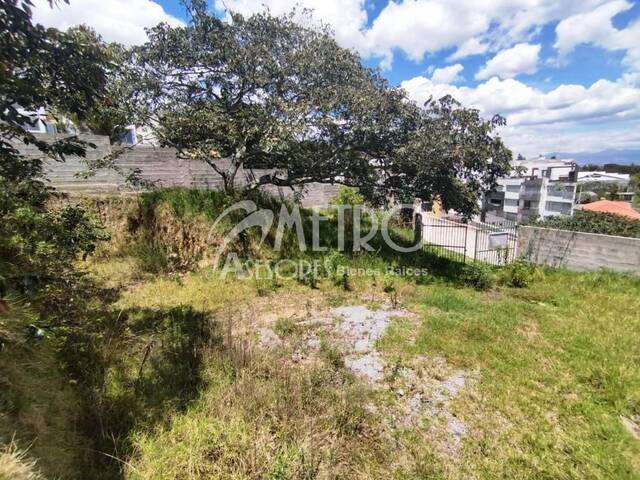 #979 - Terreno para Venta en Quito - P
