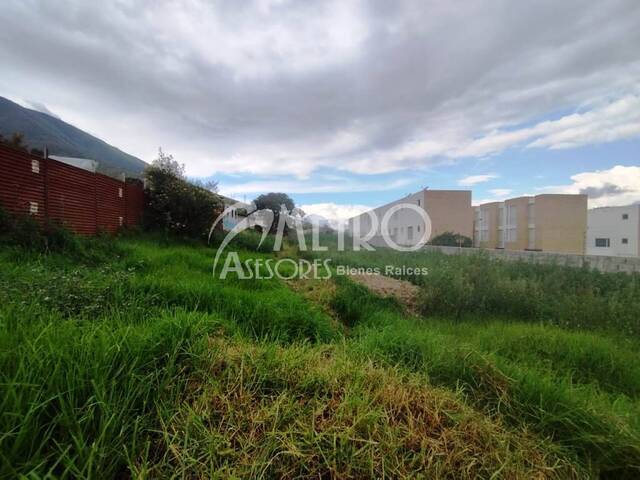 Terreno para Alquiler en Quito - 4