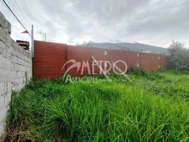 Terreno para Alquiler en Quito - 5