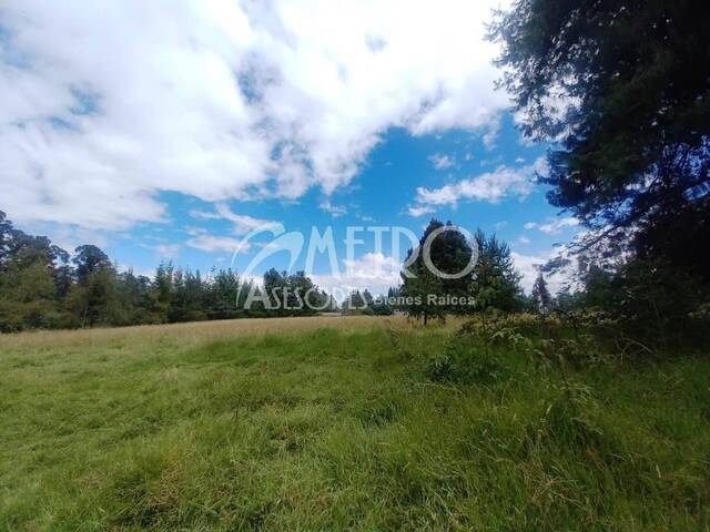 #1047 - Terreno para Venta en Rumiñahui - P - 2