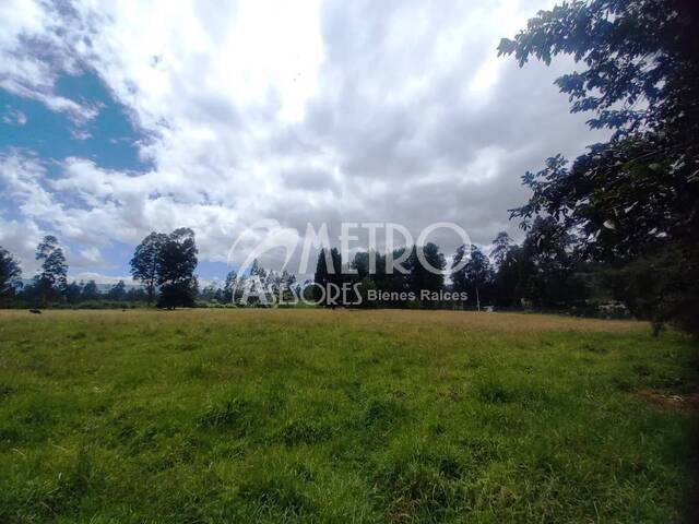 Terreno para Venta en Rumiñahui - 4