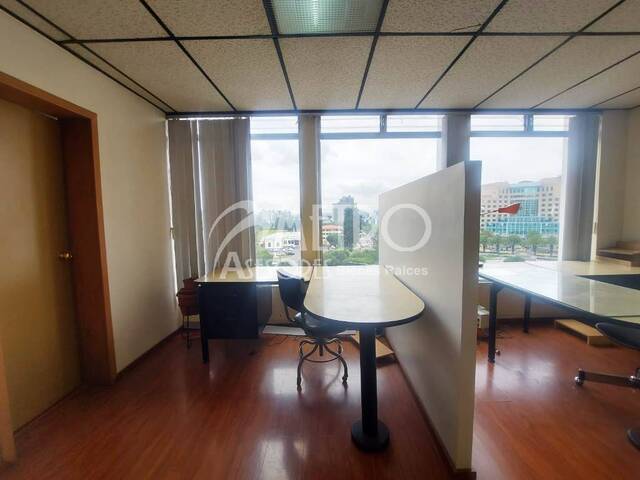 #1096 - Oficina para Alquiler en Quito - P