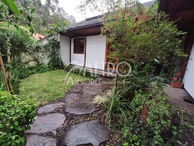 Alquiler en Sangolquí - Quito