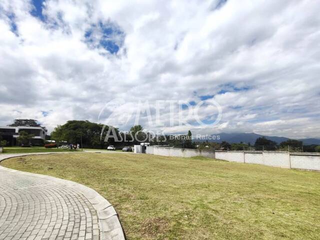 #1308 - Terreno para Venta en Quito - P