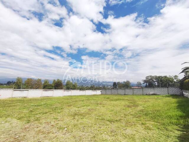 #1308 - Terreno para Venta en Quito - P