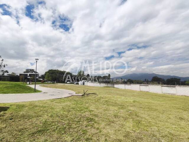 #1309 - Terreno para Venta en Quito - P