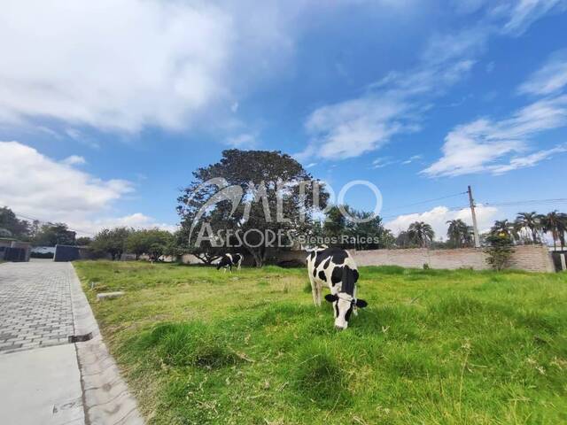 Terreno para Venta en Quito - 5