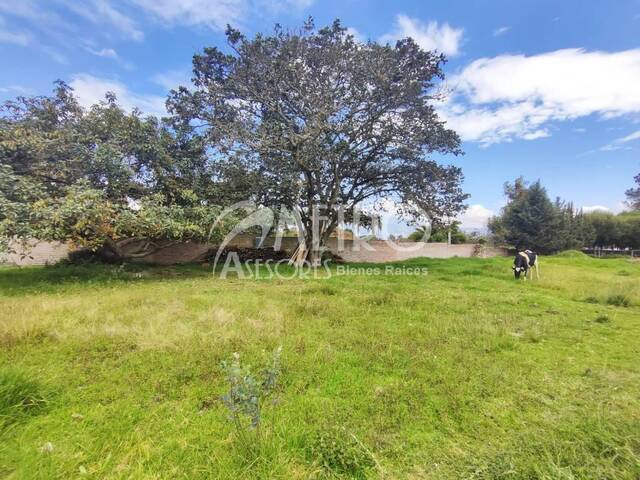 #1321 - Terreno para Venta en Quito - P