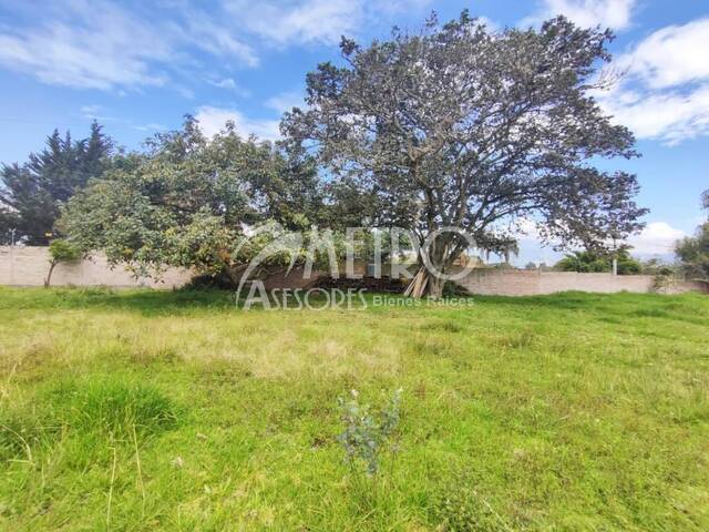 Terreno para Venta en Quito - 5