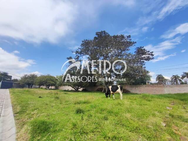Terreno para Venta en Quito - 5
