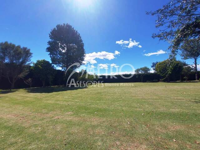 #1336 - Terreno para Venta en Quito - P