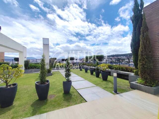 #1340 - Suite para Alquiler en Quito - P