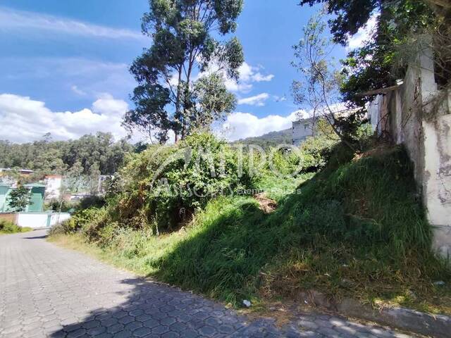 #1352 - Terreno para Venta en Quito - P