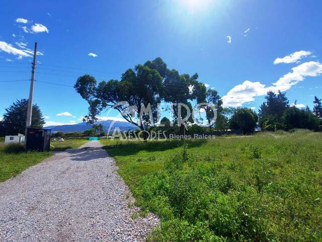 #1358 - Terreno para Venta en Quito - P