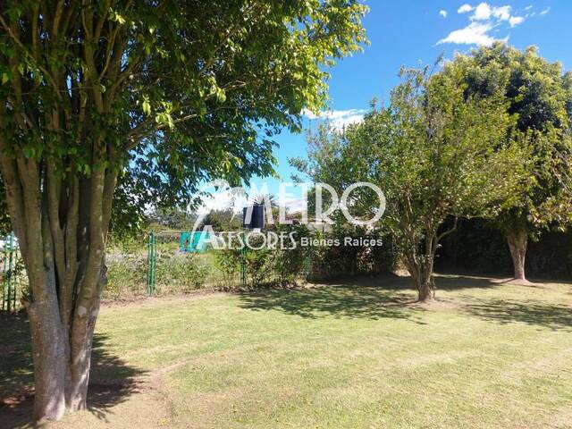 #1359 - Terreno para Venta en Quito - P