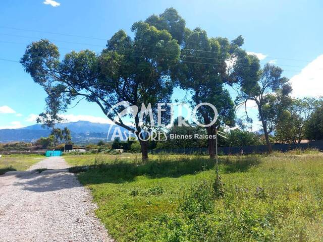 Venta en Puembo - Quito